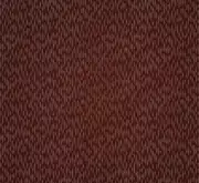 Thumb_shine_sh34_1
