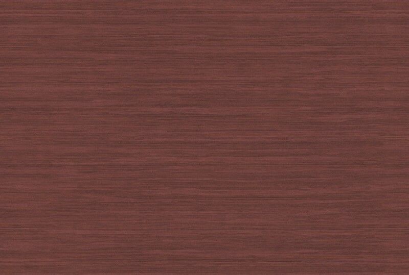 Big_kata_shiru_ka300_1