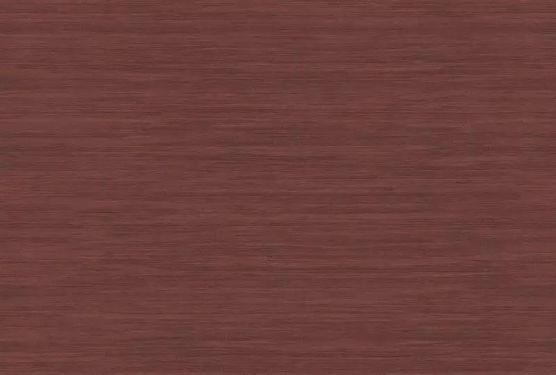 Big_kata_shiru_ka300_1