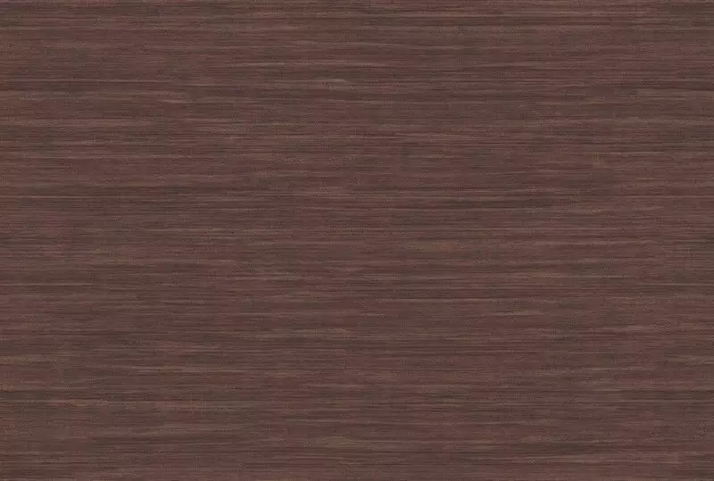 Big_kata_shiru_ka301_1