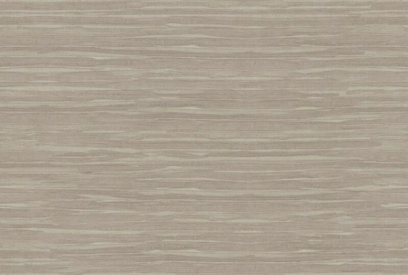 Big_kata_shiru_ka302_1