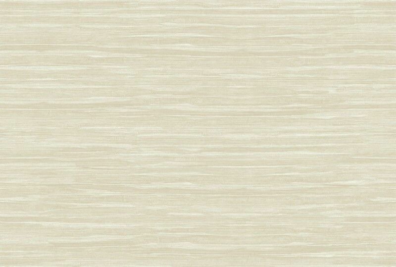 Big_kata_shiru_ka303_1