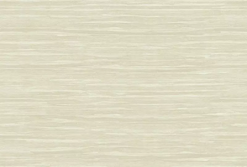 Big_kata_shiru_ka303_1