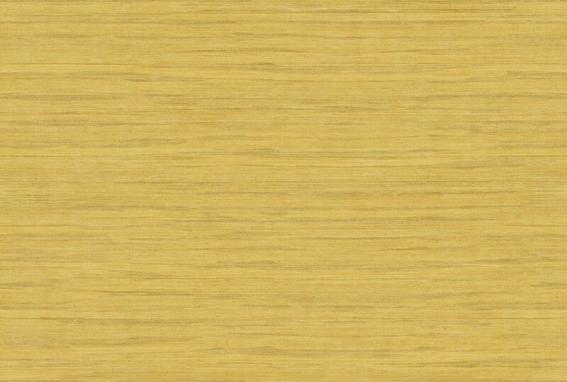 Big_kata_shiru_ka309_1