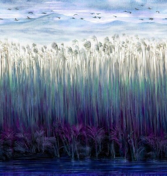 Big_kata_komo_kad507_1