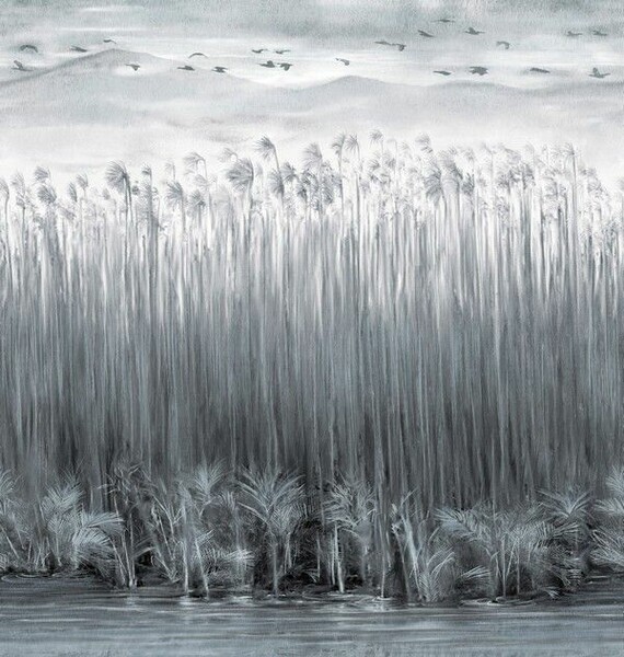 Big_kata_komo_kad508_1