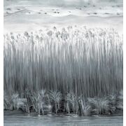 Thumb_kata_komo_kad508_1