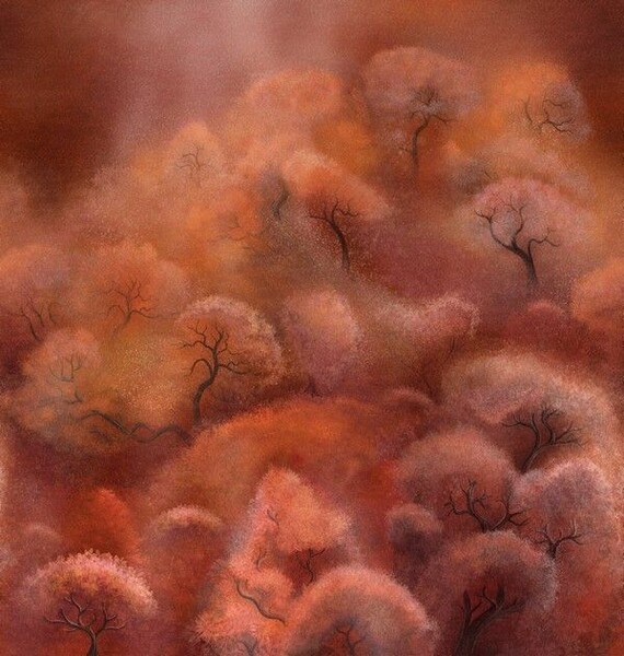 Big_kata_akii_kad701_1