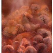 Thumb_kata_akii_kad701_1