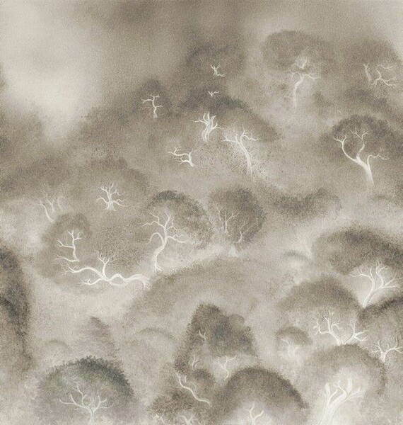 Big_kata_akii_kad705_1