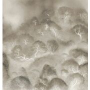 Thumb_kata_akii_kad705_1