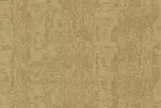 Thumb_ambient_moire_ab509_1