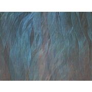 Thumb_seaweads_abd21_1