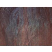 Thumb_seaweads_abd22_1