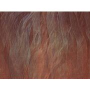 Thumb_seaweads_abd23_1