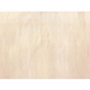 Thumb_seaweads_abd24_1