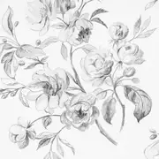 Thumb_p540_01_1