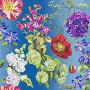 Thumb_p623_01_1