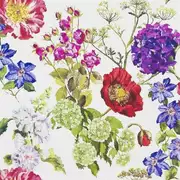 Thumb_p623_02_1