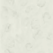 Thumb_pdg685_05_1