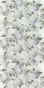 Thumb_pdg1094_02_1