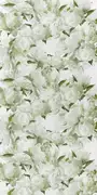 Thumb_pdg1094_03_1