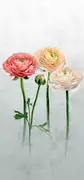Thumb_pdg1100_01_1