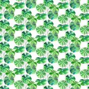 Thumb_fdg2882_01_1