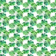 Thumb_fdg2882_01_1