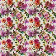 Thumb_fdg2884_01_1