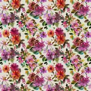 Thumb_fdg2884_01_1