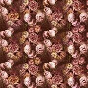 Thumb_fdg2928_02_1