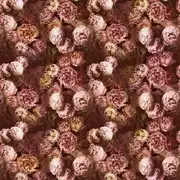 Thumb_fdg2928_02_1