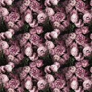 Thumb_fdg2928_01_1