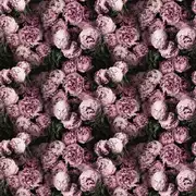 Thumb_fdg2928_01_1