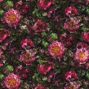 Thumb_fdg2929_01_1