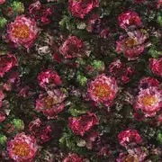 Thumb_fdg2929_01_1