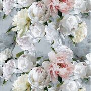 Thumb_fdg2911_01_1