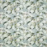Thumb_fdg2912_01_1
