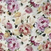 Thumb_fdg2914_01_1