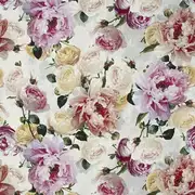 Thumb_fdg2914_01_1