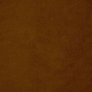 Thumb_fdg2705_24_1