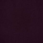Thumb_fdg2705_13_1