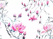 Thumb_p579_01_1
