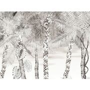 Thumb_pcl022_02_dg_1