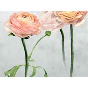 Thumb_pdg1099_01_s_m_1