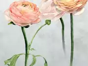 Thumb_pdg1099_01_s_m_1