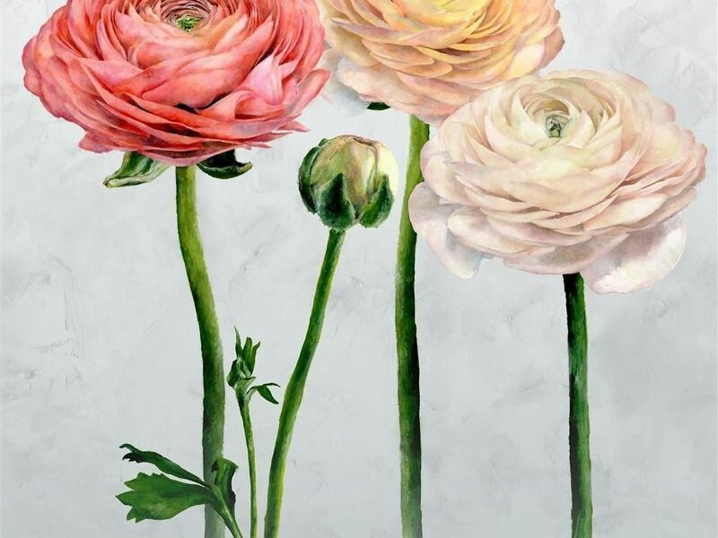 Big_pdg1100_01_s_m_1