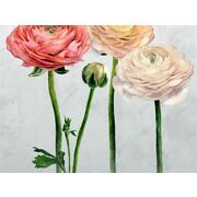 Thumb_pdg1100_01_s_m_1