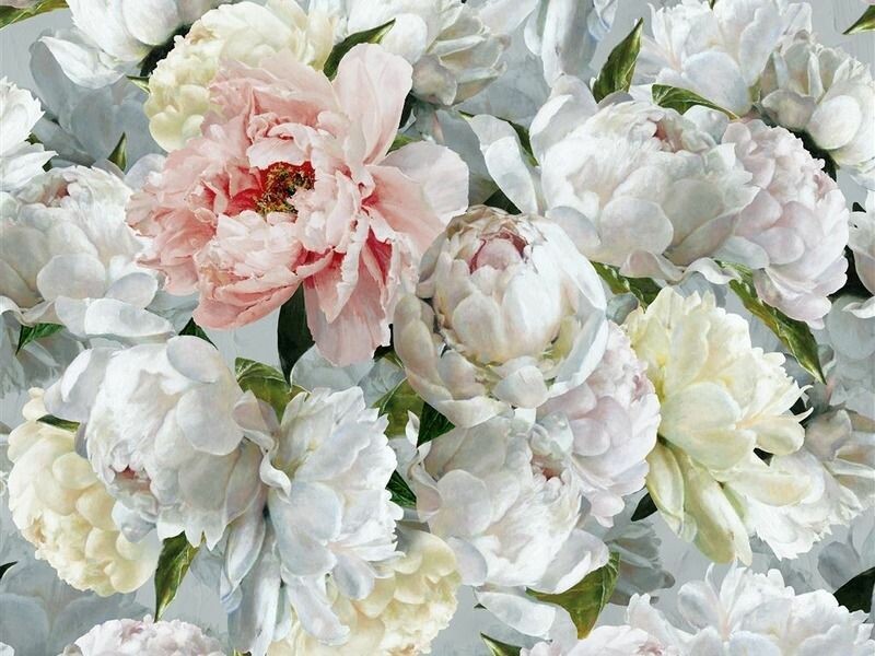 Big_pdg1102_01_s_m_1